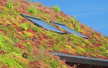 Forrestfield living roof systems