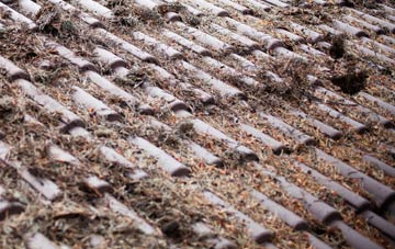 Forrestfield roof cleaning companies