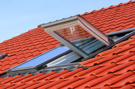 Forrestfield roof window